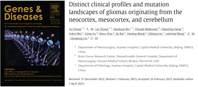 Results published｜Distinct clinical profiles and mutation landscapes of gliomas originating from the neocortex, mesocortex, and cerebellum published on Genes & Diseases: based on the Glioma database of Xuanwu Hospital, Department of neurosurgery